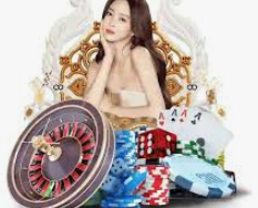 DG真人视讯平台，连接真实世界与数字时代的桥梁